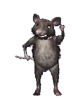 cikus.gif cikus.gif